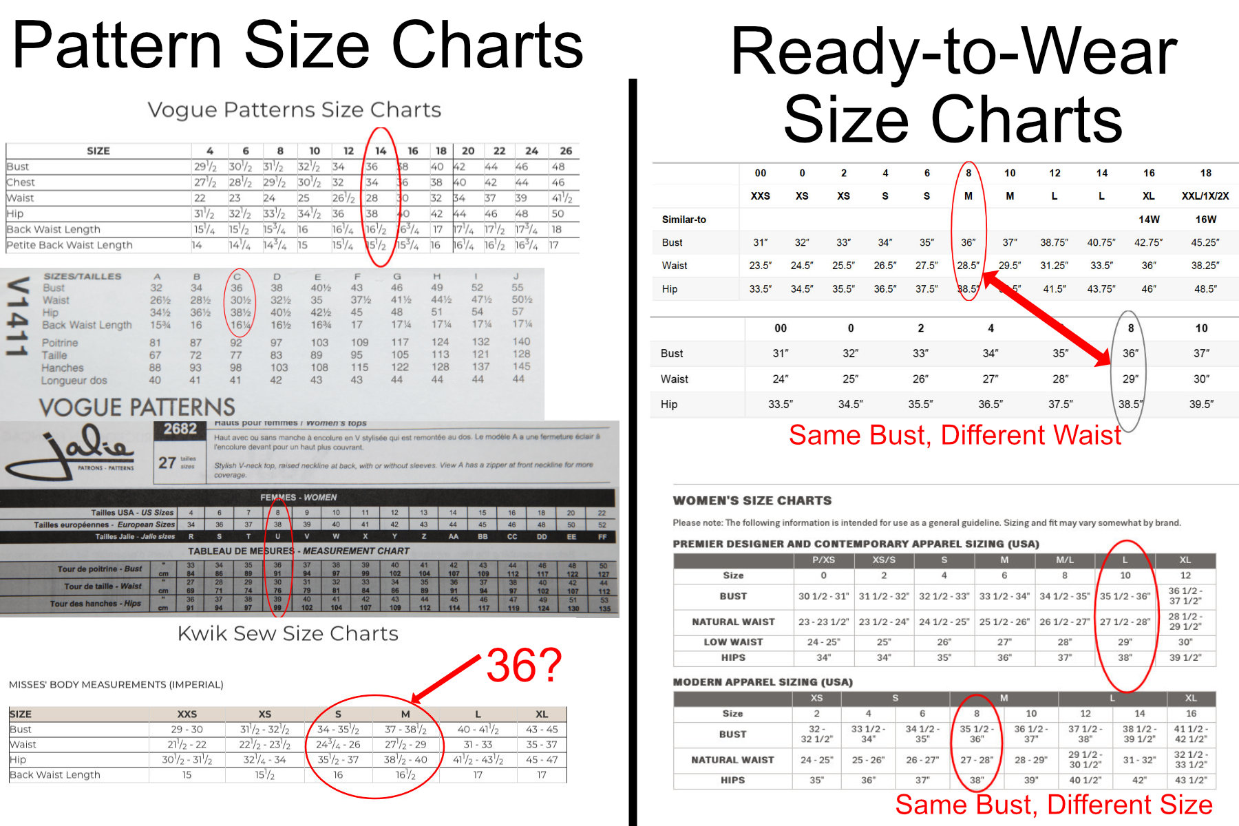 different size charts with the 36" bust column circled to show different size assignments